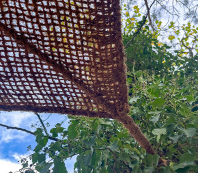 Voile d'ombrage 4 x 4 m à suspendre en fibre de coco naturelle