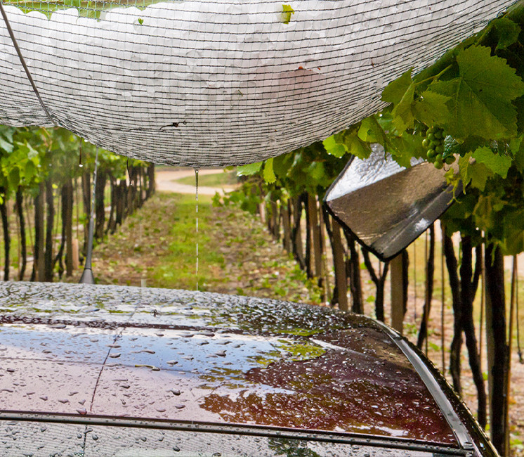 Filet anti-grêle 8x12m pour protection des voitures