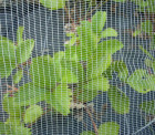 Filet anti-grêle 10x10m - 56g - avec connecteurs pont