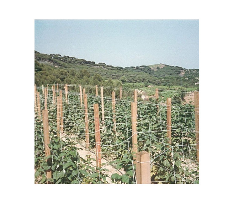 Filet à ramer Grande Taille Filet à ramer Grande Taille