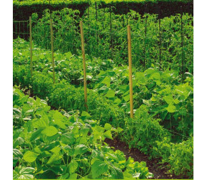 Filet à ramer Grande Taille Filet à ramer Grande Taille