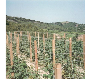Filet à ramer Grande Taille