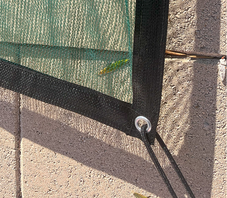 filet anti feuilles oeillets filet anti feuilles oeillets