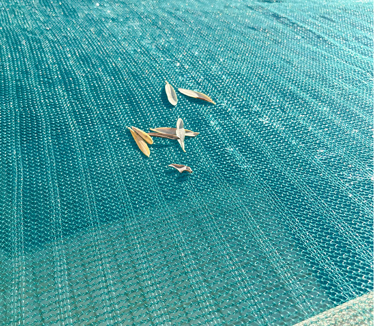 filet anti feuilles mailles filet anti feuilles mailles