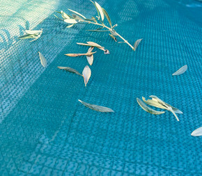 filet anti feuilles filet anti feuilles