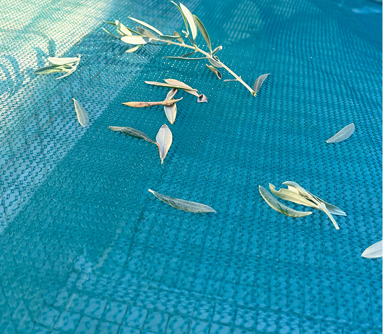 filet anti feuilles filet anti feuilles