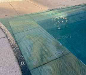 filet anti feuilles filet anti feuilles