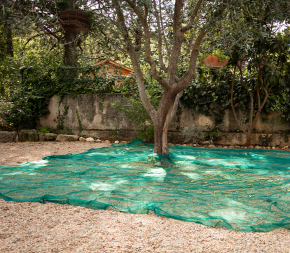 Filet de Récolte 65g Fendue avec Oeillets Filet de Récolte 65g Fendue avec Oeillets