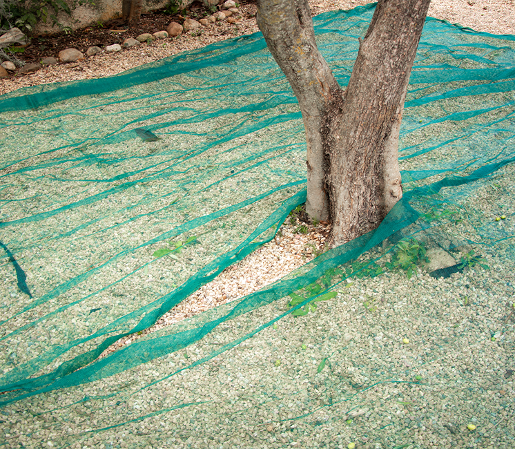 Filet de Récolte 65g Fendue avec Oeillets Filet de Récolte 65g Fendue avec Oeillets