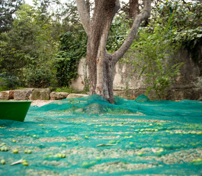 Filet de Récolte 65g Fendue avec Oeillets Filet de Récolte 65g Fendue avec Oeillets