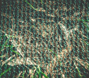 Filet de récolte maille Triangle Filet de récolte maille Triangle