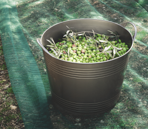 Achat Panier Souple 40L avec anses pas cher