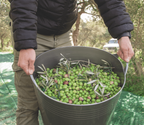 Panier Souple 40L avec anses