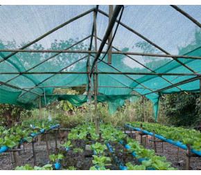 Filet d'ombrage 50% pour serre et cultures