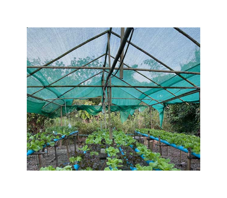 Filet d'ombrage 50% pour serre et cultures