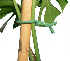 Achat Lien de palissage multi... pas cher