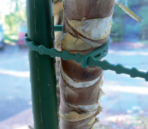 Achat Lots de 20 liens crantés... pas cher