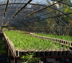 Achat Filet d'ombrage 70% pour... pas cher