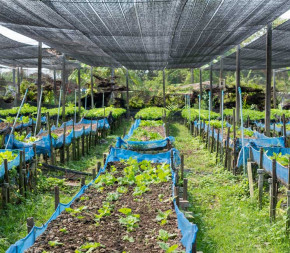 Achat Filet d'ombrage 90% pour... pas cher