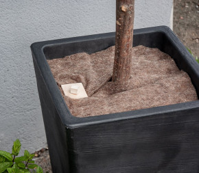 agrafes en bois paillage agrafes en bois paillage