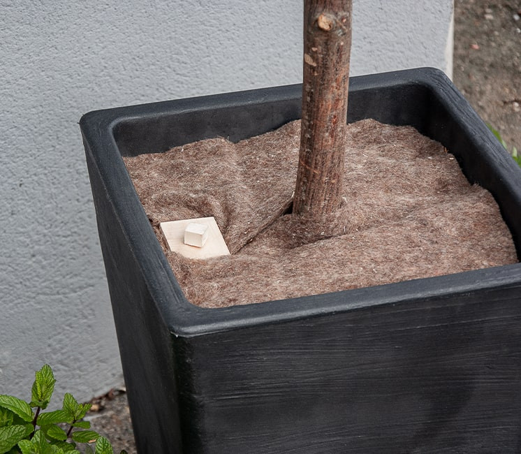 agrafes en bois paillage agrafes en bois paillage