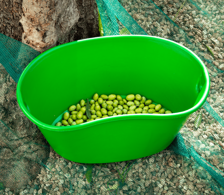 Panier de récolte Kangourou