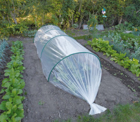 film de forçage 30 microns film de forçage 30 microns