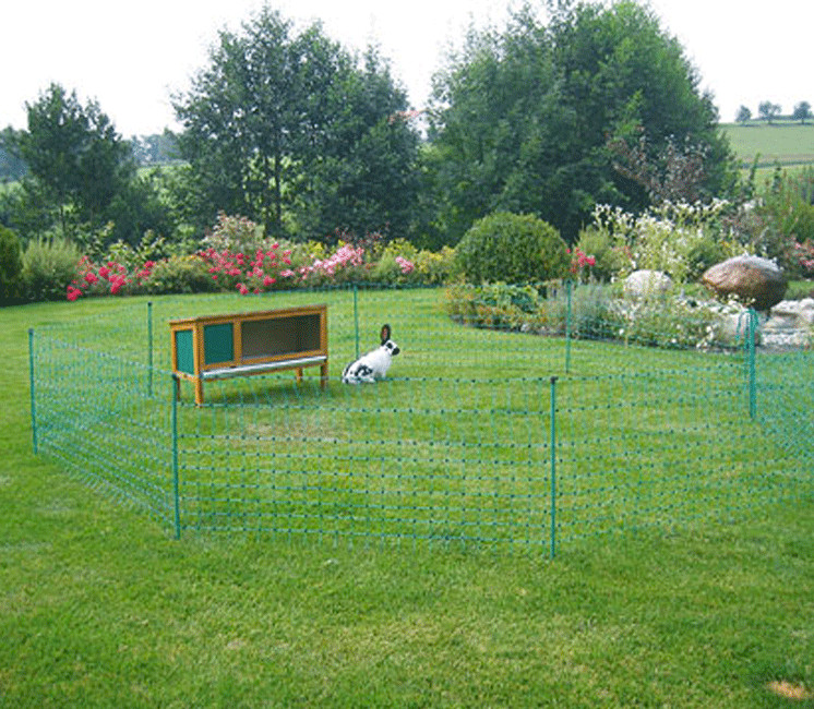 FILET LAPIN AMOVIBLE 12M (filet+piquet)