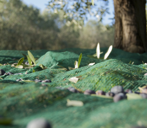 Achat Flet de Récolte 55g - 4mx80m pas cher