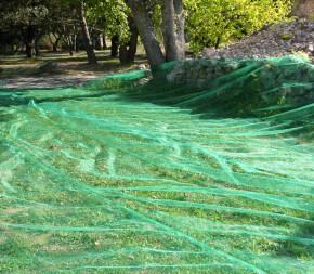 Achat Filet Anti Feuille Piscine... pas cher