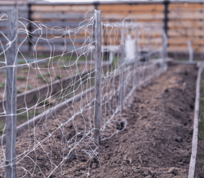Filet à ramer professionnel 10m pour haricots et concombres