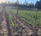 Filet à ramer 2x50m : La performance pro pour grandes surfaces