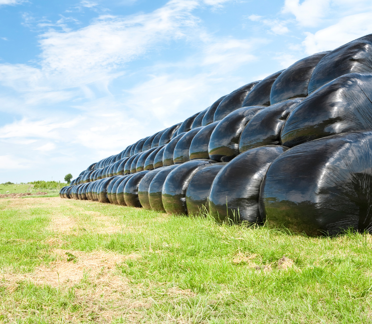 Film enrubannage SiloForce PRO 500mm x 1800m – Qualité 7 couches haute résistance