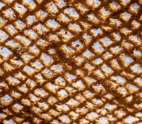 voile d'ombrage en coco 4x4m