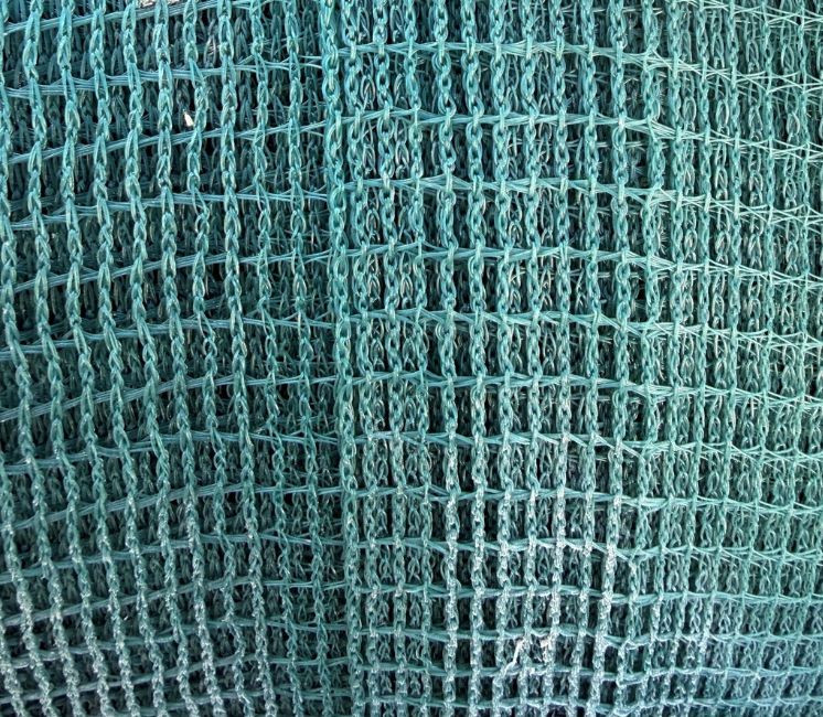 maille carrée 100g