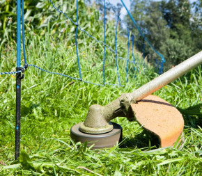 Clôture Anti-Sanglier 50m (Filet + piquets)